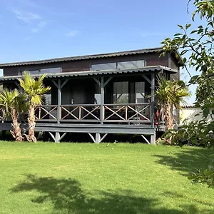 https://flu-alaat-tiny-house-otel.aegeanhotels.net
